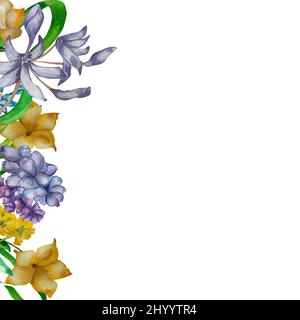 Lila Frühlingsblumen gelb Aquarell Rahmen auf weißem Hintergrund. Handbemalte Wildblumen Muscari. primula. bluebell Komposition für Grußkarten Stockfoto