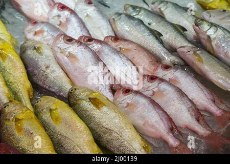 Nahaufnahme verschiedener Fischarten, die auf einem feuchten Markt in Hongkong, China, verkauft werden. Stockfoto