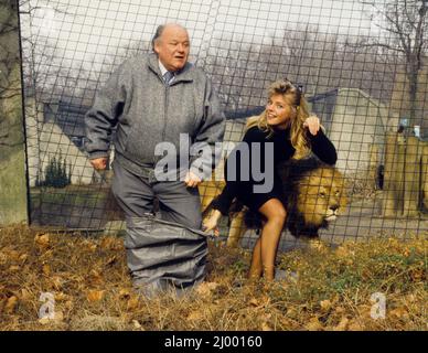 Der Komiker Roy Kinnear mit dem Model Suzanne Mizzi im London Zoo im Regents Park, beobachtet von einem kadengekammten Katzendax. Stockfoto