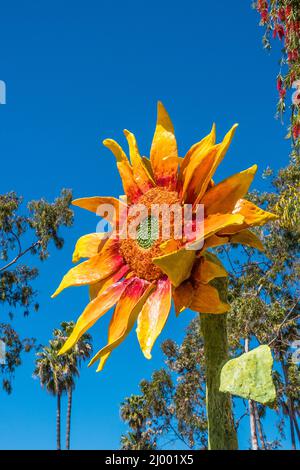 Sonnenblumen-Polychromskulptur auf der State Street als Anerkennung einer Van Gogh-Ausstellung im Santa Barbara Museum of Art. Es ist auch zu einer Zeit der t Stockfoto