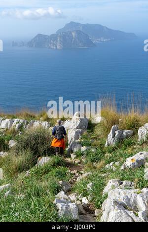 Trekking in punta Campanella auf der Halbinsel Sorrento Stockfoto