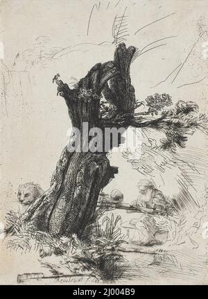 Heiliger Hieronymus neben einer Pollard Willow. Rembrandt Harmensz. Van Rijn (Niederlande, Leiden, 1606-1669). Holland, 1648. Drucke; Radierungen. Ätzen mit Trockenpunkt Stockfoto