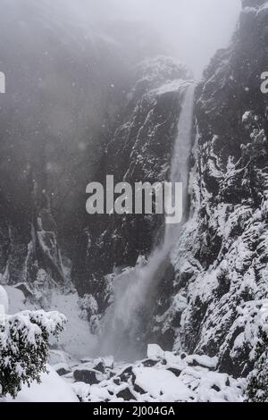 Yosemite-Nationalpark Stockfoto