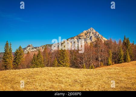 Landschaft mit Bergen im Frühling. Der große Rozsutec-Hügel im Nationalpark Mala Fatra, in der Nähe des Dorfes Terchova in der Slowakei, Europa. Stockfoto