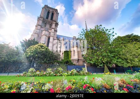 Notre Dame Außenansicht von Jean XXIII Park, Paris, Frankreich Stockfoto