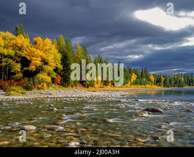 Herbstfarben entlang der Mündung des Yaak-Flusses am Zusammenfluss mit dem kootenai-Fluss in der Nähe von Troy, montana Stockfoto