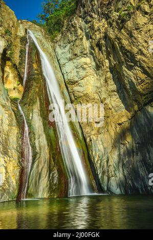 Berglauf zwischen riesigen Felsen in weald. Bergrill im Morast mit tropischen Pflanzen und frischen Kräutern. Wildtiere in exotischem wildholz mit Fluss ston Stockfoto