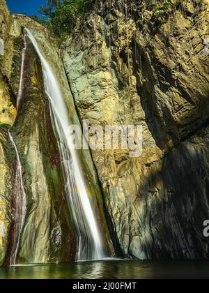 Berglauf zwischen riesigen Felsen in weald. Bergrill im Morast mit tropischen Pflanzen und frischen Kräutern. Wildtiere in exotischem wildholz mit Fluss ston Stockfoto