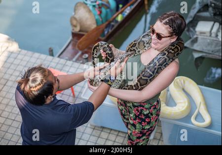 Begegnung mit Python-Schlangen auf dem schwimmenden Markt von Damnoen Saduak. Stockfoto