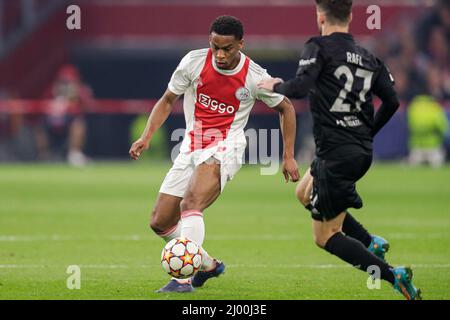 AMSTERDAM, NIEDERLANDE - 15. MÄRZ: Jurrien Timber von Ajax während des UEFA Champions League 1/8-Finalmatches zwischen Ajax und Benfica in der Johan Cruijff Arena am 15. März 2022 in Amsterdam, Niederlande (Foto: Peter Lous/Orange Picters) Stockfoto