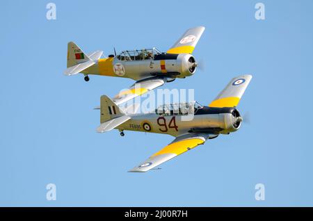 North American AT-16 Harvard IIB FE695 und North American T-6J Harvard Mk IV 1747 in portugiesischen Farben. Stockfoto