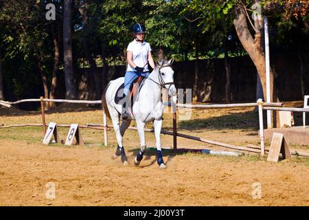 Weibliche Rider Züge das Pferd im reitkurs Stockfoto