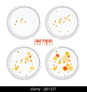 Schimmelpilzbakterien Kolonien Satz von vier realistischen Bildern mit runden Rahmen bunte Punkte und Text-Vektor-Illustration Stock Vektor