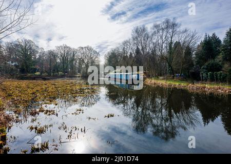 Hausboote vertäuten am Ufer des Basingstoke Canal in der Gegend von St. John's nach Brookwood in Woking, Surrey, Südostengland Stockfoto