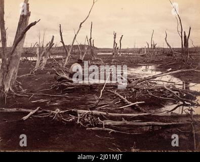 Ertrunkene Länder Der Raquette Lare. Seneca Ray Stoddard (Usa, 1843-1917). Usa, 1888. Fotos. Silberdruck mit Albumen Stockfoto