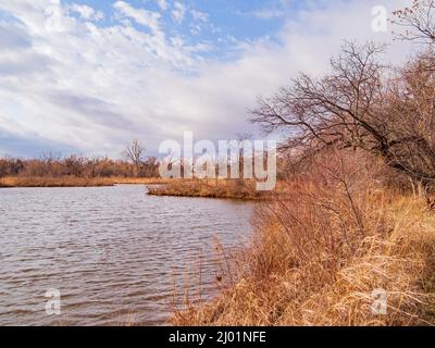 Sonnige Naturlandschaft des Bluff Creek Park in Oklahoma Stockfoto