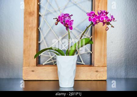 Rosa Orchideen in weißer Vase mit Holz- und Garnkunst Stockfoto