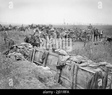 Eine britische 18-Pfünder-Feldpistole-Batterie nimmt während der Dritten Schlacht von Ypern neue Positionen in der Nähe eines Kommunikationsgrabens in der Nähe von Boesinghe ein, am 31. Juli 1917. Stockfoto