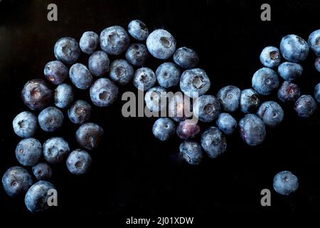 Regentropfen auf Heidelbeeren (Vaccinium sp.) Stockfoto