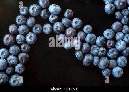 Regentropfen auf Heidelbeeren (Vaccinium sp.) Stockfoto