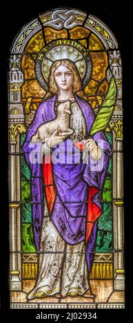 St. Agnes Glasmalerei Basilika Kirche Unbefleckte Empfängnis Selige Mary Phoenix Arizona St. Agnes römischer Märtyrer starb als junges Mädchen 12 für den Glauben Stockfoto