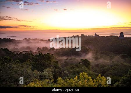 Sonnenaufgang in Tikal, Guatemala Stockfoto