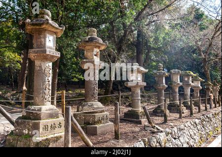 Nara, Japan - 5. Januar 2020. Außenaufnahme des Nara Parks. Nara ist eine historische Stadt in Japan, berühmt für ihre vielen Tempel und Schreine. Viele Menschen besuchen die ersten Tage des neuen Jahres. Stockfoto