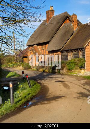 Ein wunderschönes reetgedeckten Häuschen im Lower Radley Village, an einem schönen Frühlingsmorgen Stockfoto