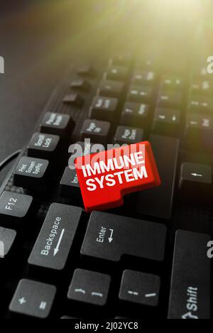 Konzeptunterschrift Immunsystem. Geschäftsansatz ein komplexes Netzwerk schützt gemeinsam vor Keimen, die Bildbeschreibungen und Schlüsselwörter eingeben Stockfoto