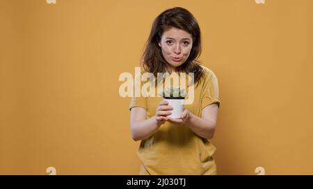 Portrait einer Frau, die über Gartenhobby spricht und wie man sich im Studio um die Sukulente Hauspflanze kümmert. Junge Person erklärt und gibt Ratschläge über Topfdekoration mit grünen Blättern. Stockfoto