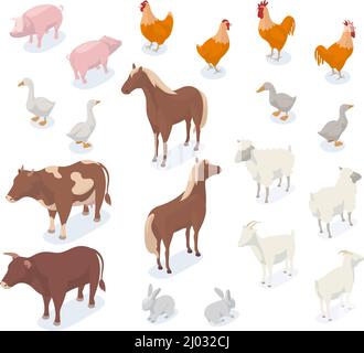 Isometrische Nutztiere, 3D Schwein, Kuh, Huhn, Ziege und Pferd. Landwirtschaftliche Nutztiere und Vögel, Hund und Schiff Vektor Illustration Set. Landwirtschaftlicher Betrieb Stock Vektor