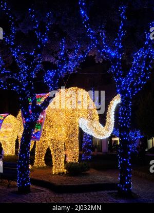 Weihnachtsbeleuchtung in Gaeta, dezember 2021, Latium, Italien. Darstellung eines Elefanten Stockfoto