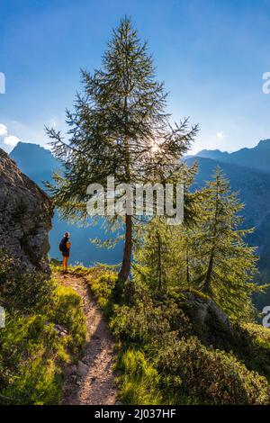 Grande Est, Parco Naturale Veglia-Devero, Val d'Ossola, V.C.O. (Verbano-Cusio-Ossola), Piemont, Italien, Europa Stockfoto