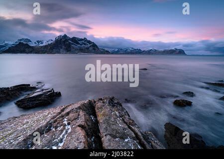 Rosafarbener arktischer Sonnenaufgang über schneebedeckten Bergen und gefrorenem Fjord, Vareid, Flakstad, Nordland County, Lofoten Islands, Norwegen, Skandinavien, Europa Stockfoto