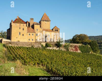 Schloss Pierreclos und Weingut in der Nähe von Macon, Saone-et-Loire, Burgund, Frankreich, Europa Stockfoto