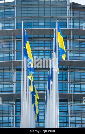 Straßburg, Frankreich - 8. März 2022: Die ukrainische Flagge fliegt neben der Flagge Europas und alle EU-Gewerkschaftsmitglieder Flaggen vor dem Parlamentsgebäude Stockfoto