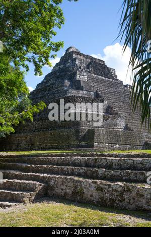 Tempel 24, Maya-Stätte, Archäologische Zone Chacchoben, Chacchoben, Quintana Roo State, Mexiko, Nordamerika Stockfoto