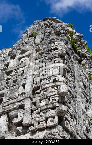 Regengott Chac Masken, Struktur XX, Maya-Ruinen, Chicanna Archäologische Zone, Campeche Staat, Mexiko, Nordamerika Stockfoto