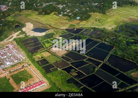 Reisfelder und Fischteiche an der Küste des Golf von Boni in der Nähe der zweiten Stadt von Sulawesi, Palopo, Luwu, Süd-Sulawesi, Indonesien Stockfoto