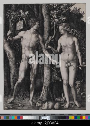 Adam und Eva. Albrecht Dürer (Deutschland, Nürnberg, 1471-1528). Deutschland, 1504. Drucke; Gravuren. Gravur Stockfoto