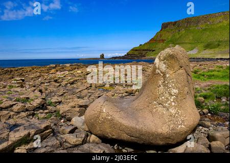 The Giant's Boot am Giant's Causeway, County Antrim, Nordirland Stockfoto