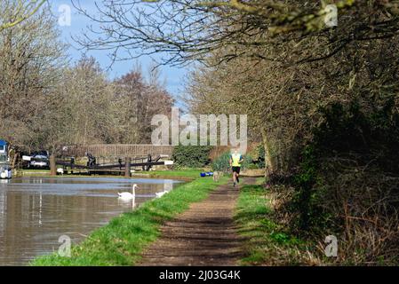 Ein einzelner Läufer trainiert an einem sonnigen Frühlingstag auf dem Abschleppweg des River Wey Navigation Kanals in New Haw Surrey England Stockfoto