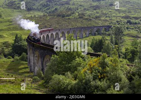 Dampfzug auf dem Glenfinnan-Zugviadukt in Schottland, Großbritannien Stockfoto