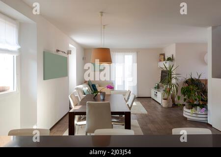 Offener Blick auf die moderne Wohnung mit Küche mit Insel, großem Tisch mit Stühlen und einem Sofa im Hintergrund. Niemand drinnen Stockfoto