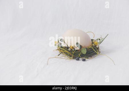 Zarte Nest von Blumen, die ein Ei, Ostern Thema Hintergrund Stockfoto