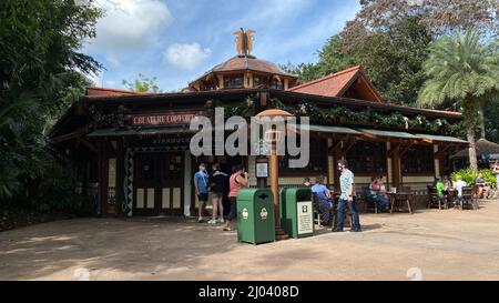 orlando, FL USA - 6. November 2020: Der Starbucks Coffee Shop im Animal Kingdom in Walt Disney World in Orlando, Florida. Stockfoto