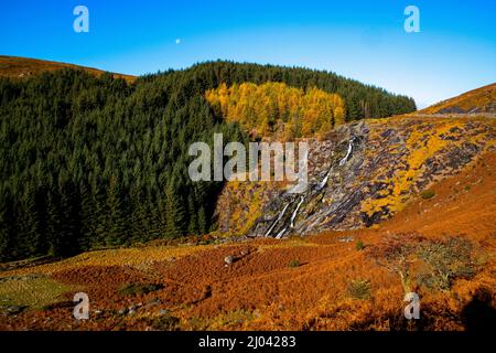 Herbstansicht des Glenmacnass Waterfall, County Wicklow, Irland Stockfoto