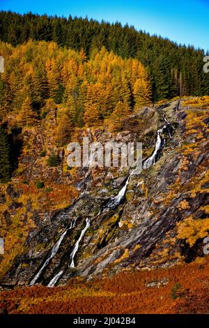 Herbstansicht des Glenmacnass Waterfall, County Wicklow, Irland Stockfoto