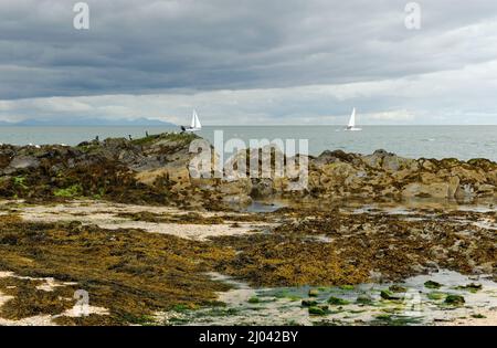 Strand in Skerries, kleiner Fischerort am Meer in Fingal, Irland Stockfoto