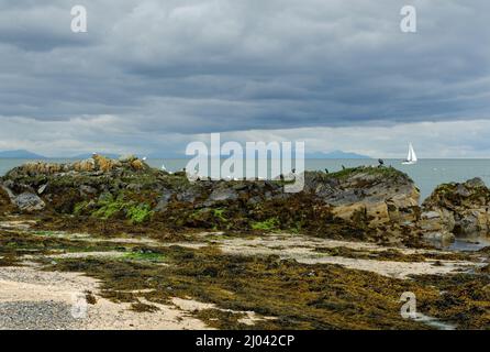 Strand in Skerries, kleiner Fischerort am Meer in Fingal, Irland Stockfoto